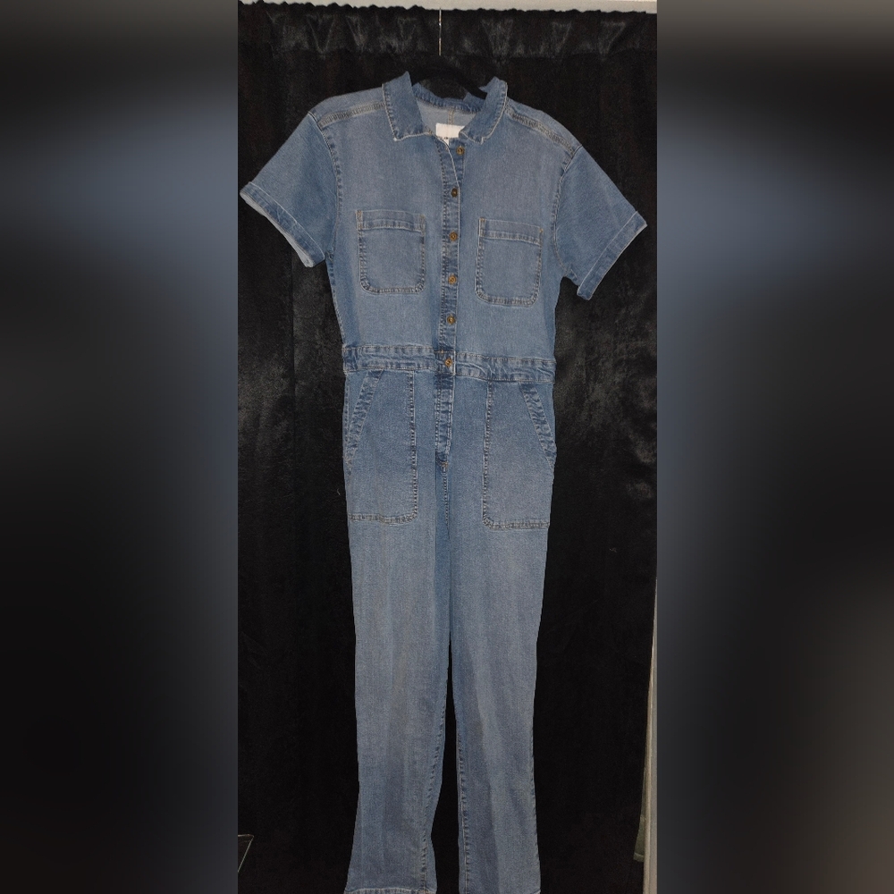 Celebrity Pink Blue Denim Overalls